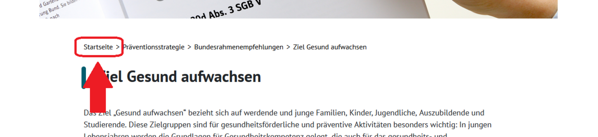 Das Bild zeigt die Brot-Krumen-Navigation auf der NPK-Internet-Seite. Der Menü-Punkt Start-Seite ist mit einem roten Rahmen und einem Pfeil markiert. Bild Brotkrumennavigation Startseite markiert