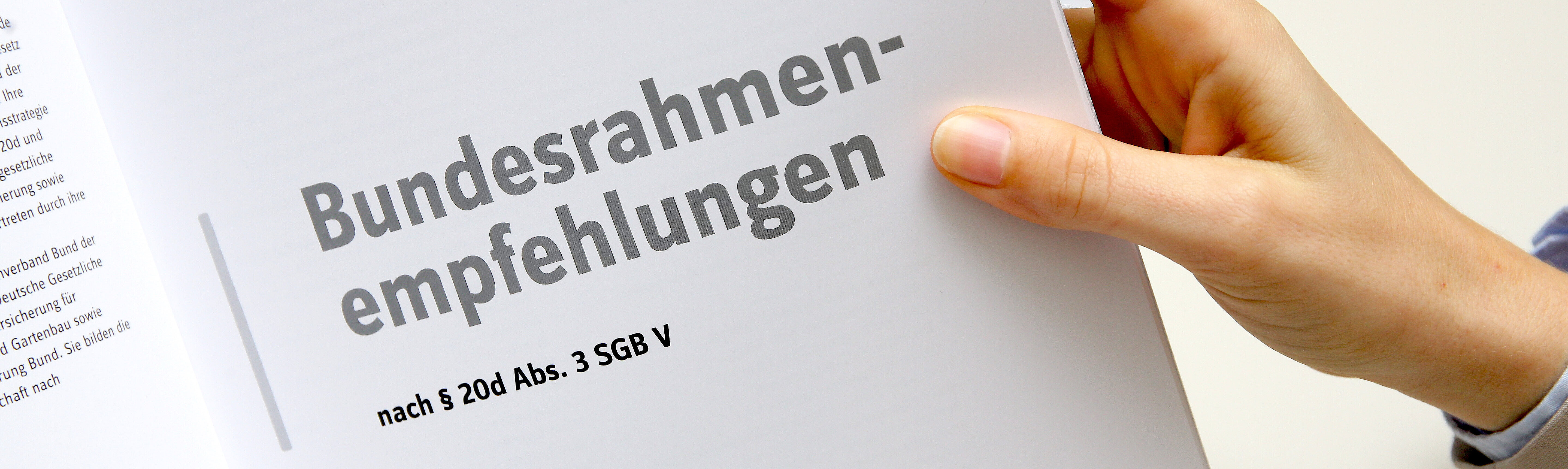 aufgeschlagene Druckfassung der Bundesrahmenempfehlungen