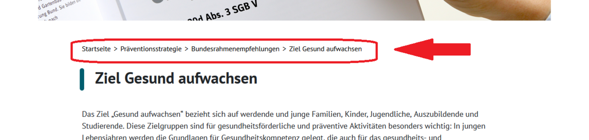 Das Bild zeigt einen Ausschnitt von der NPK-Internet-Seite. Die Brot-Krumen-Navigation ist mit einem roten Rahmen und einem Pfeil markiert. Bild Brotkrumennavigation